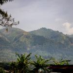 3D第298期开奖历史号码回顾与详细数据分析 1qb4efue2q