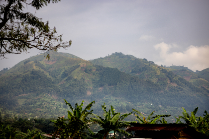 3D第298期开奖历史号码回顾与详细数据分析 3D第298期开奖历史号码回顾与详细数据分析