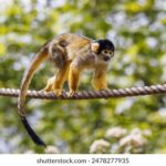 2025005期最新3D开奖结果全面揭晓 4b41t