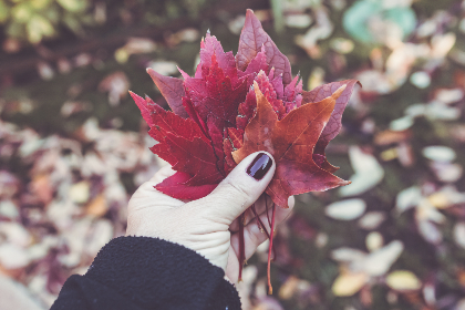 2025016期双色球开奖号码最新公布结果 2025016期双色球开奖号码最新公布结果