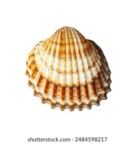 202501期彩票开奖号码查询与结果公布 202501期彩票开奖号码查询与结果公布