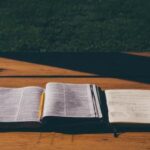 3d试机号880开奖最新结果与走势分析 ae5fxmn7w