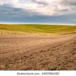 3d试机号与开奖号整体走势图深度分析与预测 btype1mg0