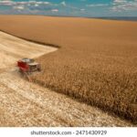 2025007期彩票开奖结果最新公布,大奖花落谁家? d33fym