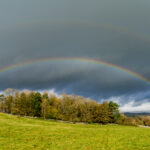 2025010期开奖结果查询与中奖号码公布 mewb13