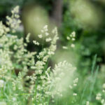 2025007期双色球开奖号码结果查询与公布 tdoee8uyt